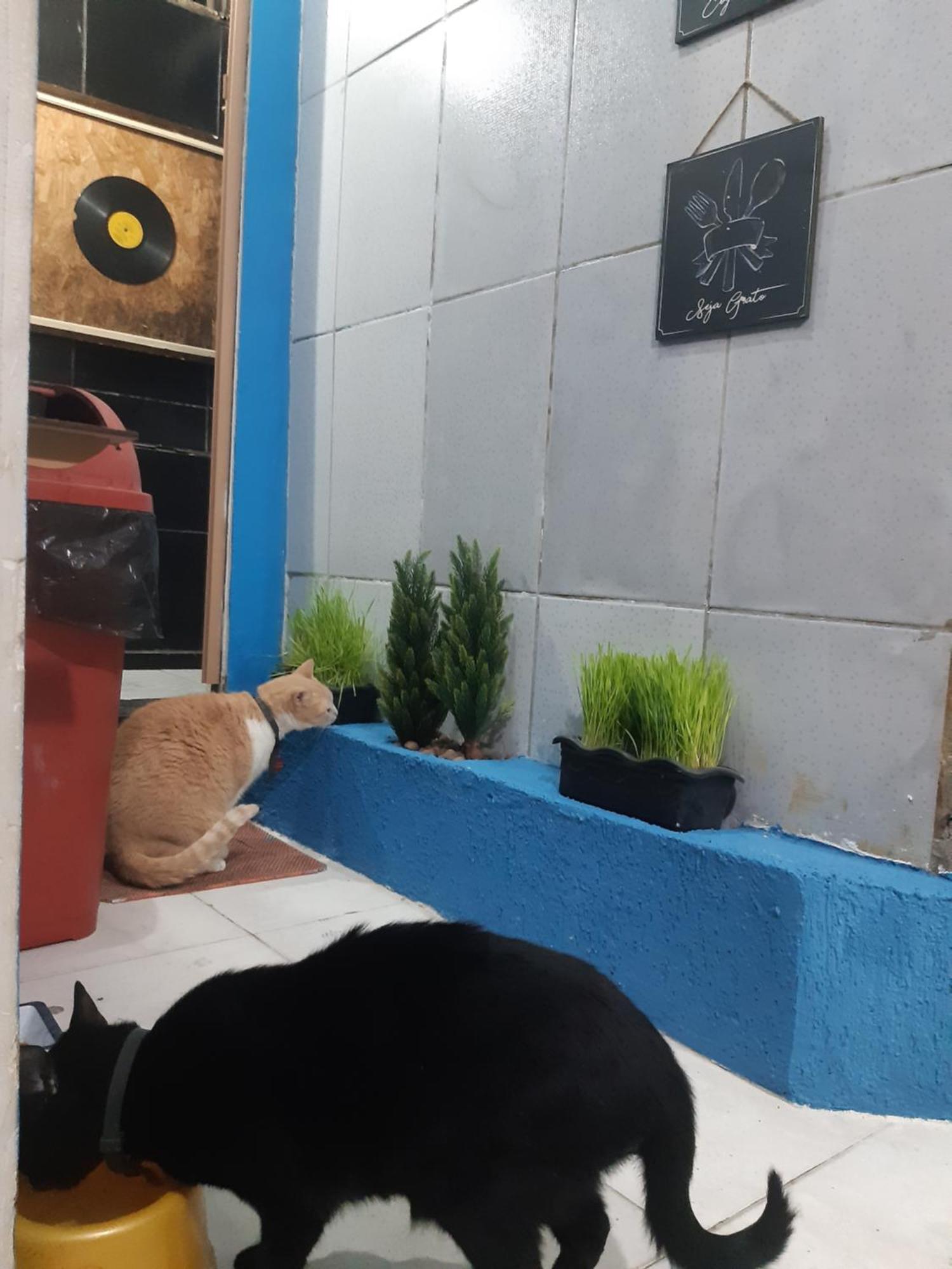 Sapucali Privative Hostel Rio de Janeiro Exteriör bild